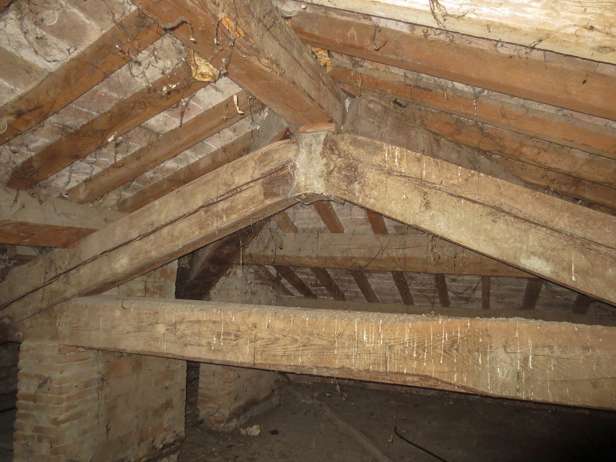 Before image